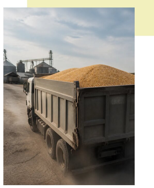 Перевозка сельхозпродукции навалом в Балашова по цене от 3051 р. | Агросервис-Бла