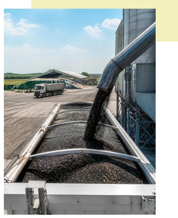 Перевозка подсолнечника в Балашова по цене от 5440 р. | Агросервис-Бла